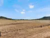 8681  Oxley Highway, Gunnedah, NSW 2380-Image