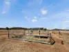 8681  Oxley Highway, Gunnedah, NSW 2380-Image