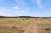 8681  Oxley Highway, Gunnedah, NSW 2380-Image