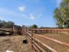 8681  Oxley Highway, Gunnedah, NSW 2380-Image