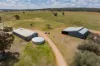 869 Newell Highway, Narrandera, NSW 2700-Image