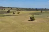 869 Newell Highway, Narrandera, NSW 2700-Image