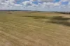 869 Newell Highway, Narrandera, NSW 2700-Image