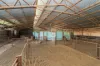 869 Newell Highway, Narrandera, NSW 2700-Image