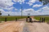869 Newell Highway, Narrandera, NSW 2700-Image