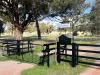 869 Newell Highway, Narrandera, NSW 2700-Image