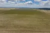869 Newell Highway, Narrandera, NSW 2700-Image