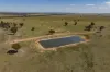 869 Newell Highway, Narrandera, NSW 2700-Image