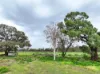 87 Blake Road, Iraak, Vic 3494-Image
