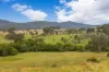 87 Norries Road, Bunyah NSW 2429-Image
