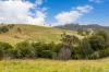 87 Norries Road, Bunyah NSW 2429-Image