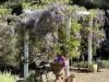 874 Oura Road, Wagga Wagga, NSW 2650-Image