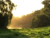 874 Oura Road, Wagga Wagga, NSW 2650-Image