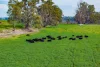 874 Oura Road, Wagga Wagga, NSW 2650-Image