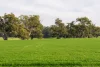 874 Oura Road, Wagga Wagga, NSW 2650-Image