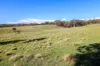 876 Boro Road, Boro, NSW 2622-Image