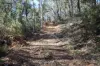 876 Boro Road, Boro, NSW 2622-Image