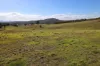 876 Boro Road, Boro, NSW 2622-Image