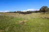 876 Boro Road, Boro, NSW 2622-Image