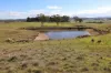 876 Boro Road, Boro, NSW 2622-Image