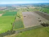 88 Barbers Road, Walla Walla, NSW 2659-Image