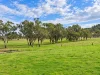 88 Mount Cobla Road, Currabubula, NSW 2342
