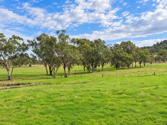 88 Mount Cobla Road, Currabubula, NSW 2342