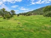 88 Mount Cobla Road, Currabubula, NSW 2342-Image