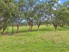 88 Mount Cobla Road, Currabubula, NSW 2342-Image