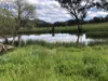 88 Mount Cobla Road, Currabubula, NSW 2342-Image