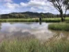 88 Mount Cobla Road, Currabubula, NSW 2342-Image
