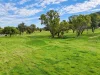 88 Mount Cobla Road, Currabubula, NSW 2342-Image