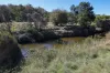 881 Boro Road, Boro, NSW 2622-Image