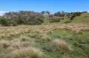 881 Boro Road, Boro, NSW 2622-Image