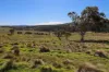 881 Boro Road, Boro, NSW 2622-Image