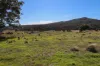 881 Boro Road, Boro, NSW 2622-Image