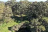 891 Lower Denmark Road, Cuthbert, WA 6330-Image