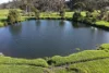 891 Lower Denmark Road, Cuthbert, WA 6330-Image