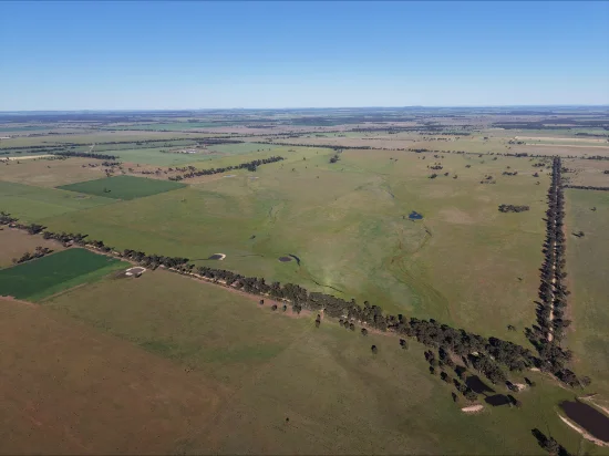 90 COLLINS LANE, West Wyalong, NSW 2671 - For Sale