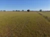90 COLLINS LANE, West Wyalong, NSW 2671-Image