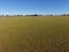 90 COLLINS LANE, West Wyalong, NSW 2671-Image