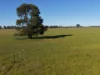 90 COLLINS LANE, West Wyalong, NSW 2671-Image