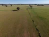 90 COLLINS LANE, West Wyalong, NSW 2671-Image