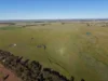 90 COLLINS LANE, West Wyalong, NSW 2671-Image