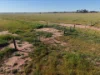 90 COLLINS LANE, West Wyalong, NSW 2671-Image