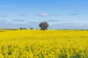 90 Kilnyana Road, Savernake, NSW 2646-Image
