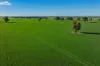 90 Kilnyana Road, Savernake, NSW 2646-Image