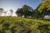 90 O'Connors Road, Fairy Hill NSW 2470-Image