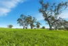 9091 Mitchell Highway, Wellington, NSW 2820