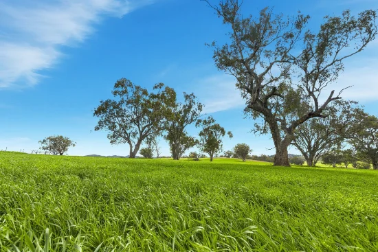 9091 Mitchell Highway, Wellington, NSW 2820